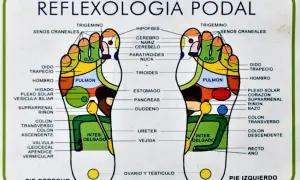 Mapa de reflexología podal con zonas de puntos presión pies. Muestra la correspondencia de partes del cuerpo con áreas específicas en ambos pies.