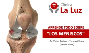 Anatomía de la rodilla mostrando cuántos meniscos tiene la rodilla, con información de la Clínica La Luz.