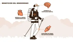 Senderismo: mejora tu salud cardiovascular, fortalece tu mente y mantiene tus articulaciones en forma. ¡Descubre los beneficios!