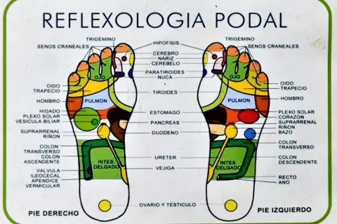 Mapa de reflexología podal con zonas de puntos presión pies. Muestra la correspondencia de partes del cuerpo con áreas específicas en ambos pies.