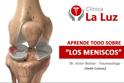 Anatomía de la rodilla mostrando cuántos meniscos tiene la rodilla, con información de la Clínica La Luz.