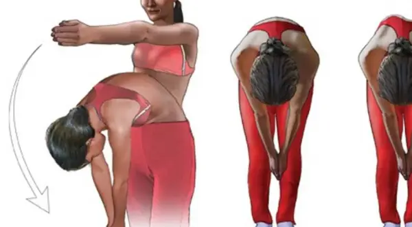 Ilustración de ejercicios para escoliosis: una chica se inclina, mostrando la diferencia entre una espalda normal y una anormal.