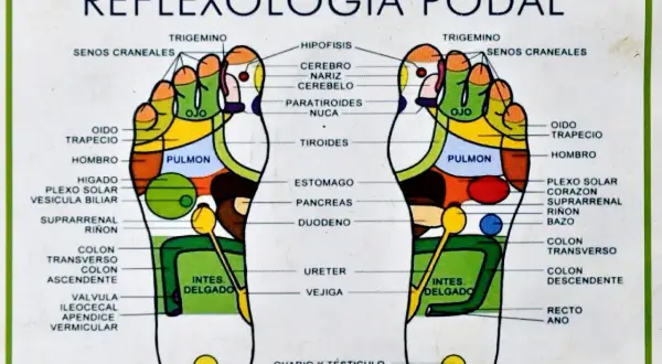 Mapa de reflexología podal con zonas de puntos presión pies. Muestra la correspondencia de partes del cuerpo con áreas específicas en ambos pies.