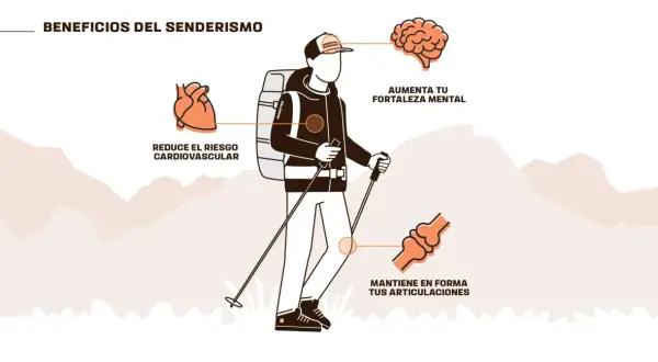 Senderismo: mejora tu salud cardiovascular, fortalece tu mente y mantiene tus articulaciones en forma. ¡Descubre los beneficios!