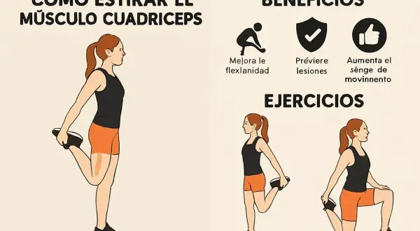 Ilustración muestra cómo estirar el músculo cuádriceps. Beneficios: mejora flexibilidad, previene lesiones, aumenta rango de movimiento. Ejercicios: dos posturas de estiramiento.