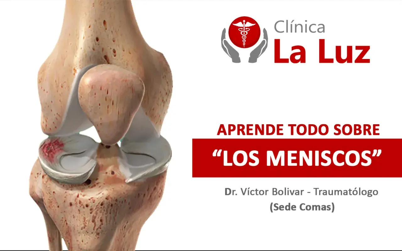 Anatomía de la rodilla mostrando cuántos meniscos tiene la rodilla, con información de la Clínica La Luz.