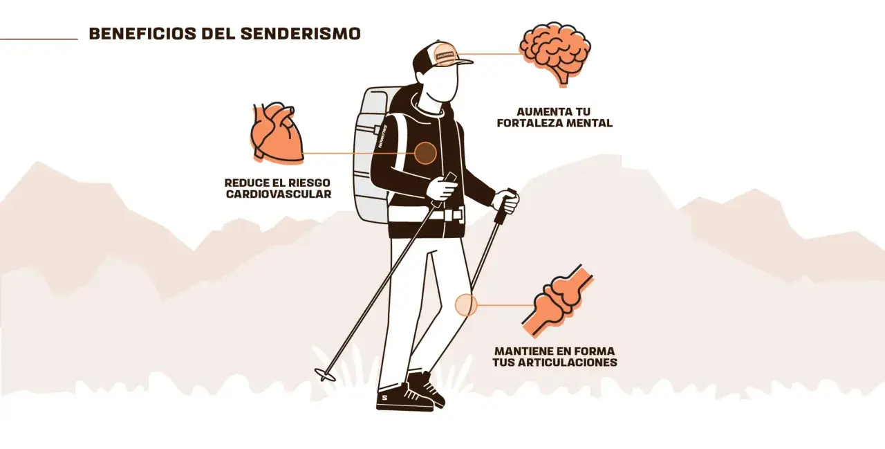 Senderismo: mejora tu salud cardiovascular, fortalece tu mente y mantiene tus articulaciones en forma. ¡Descubre los beneficios!