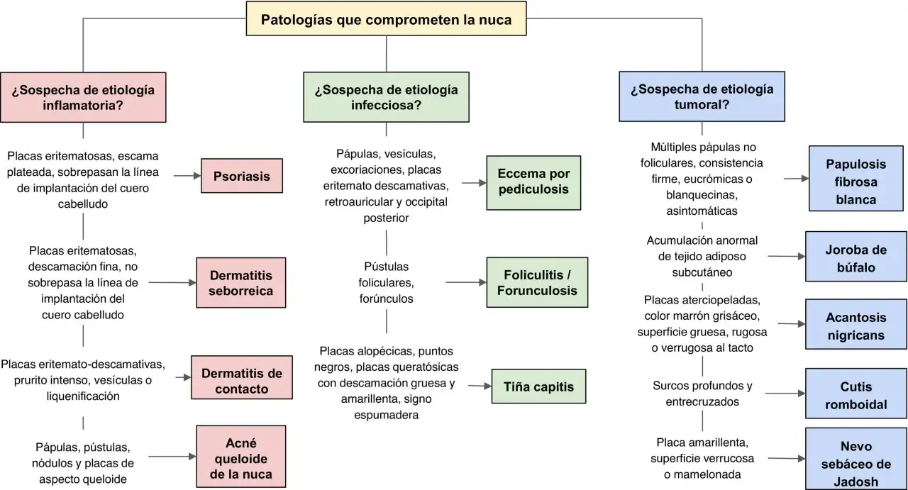 Diagrama de patolog&iacute;as de la nuca. Se exploran causas inflamatorias, infecciosas y tumorales, incluyendo el acn&eacute; queloide de la nuca.