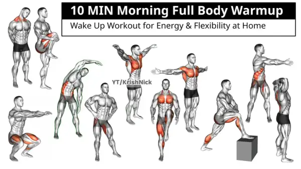 Hombres realizando estiramientos matutinos, incluyendo sentadillas, giros de torso y estiramientos de piernas, para un calentamiento completo.